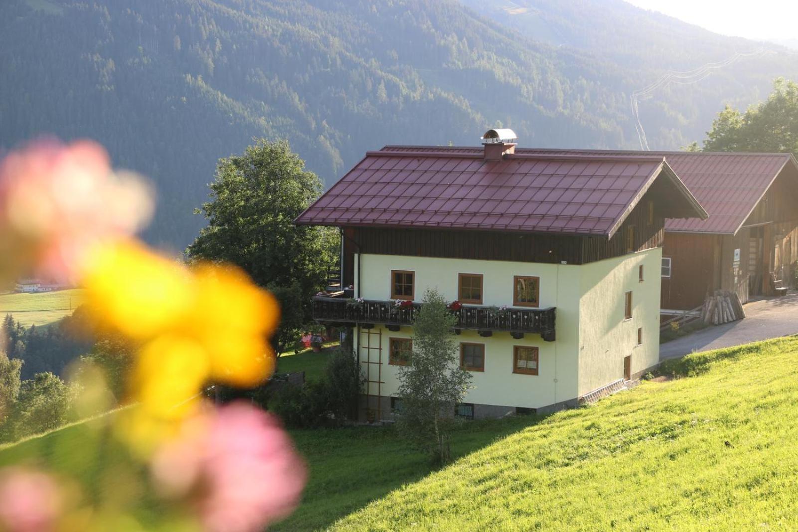 Apartamento Molteraugut Mühlbach am Hochkönig Exterior foto
